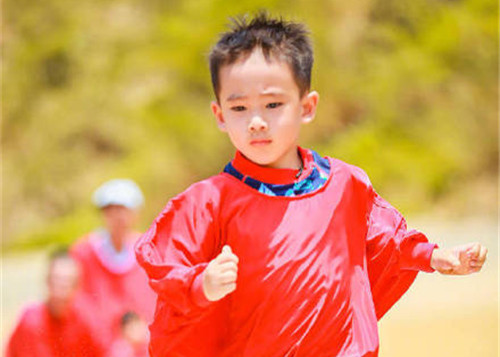 2021年属牛五行缺木男孩名字