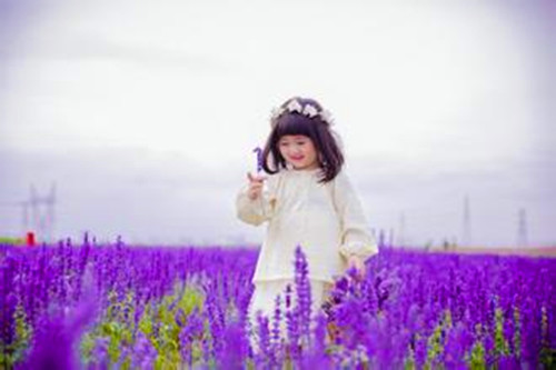 梁姓取名 女孩-梁蕊兰测试打分