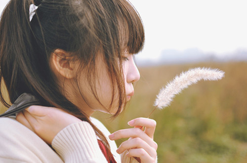 女孩刘姓取名最佳排行榜