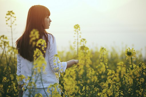 姓温的女孩子取什么名字-这个名字怎么样